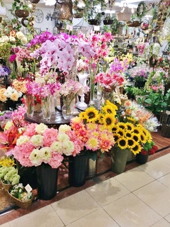 写真 2015-06-15 11 46 57.jpg