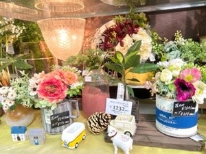 IMG_0321.jpg