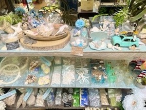IMG_0335.jpg