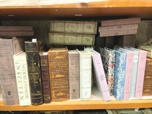 IMG_6379.jpg