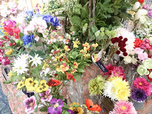 asca-flower.jpg