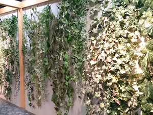 asca-green01.jpg