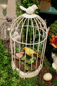 birdcage-in-tori02.jpg