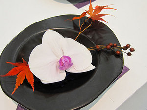 orchid_03.jpg