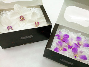 orchid_05.jpg